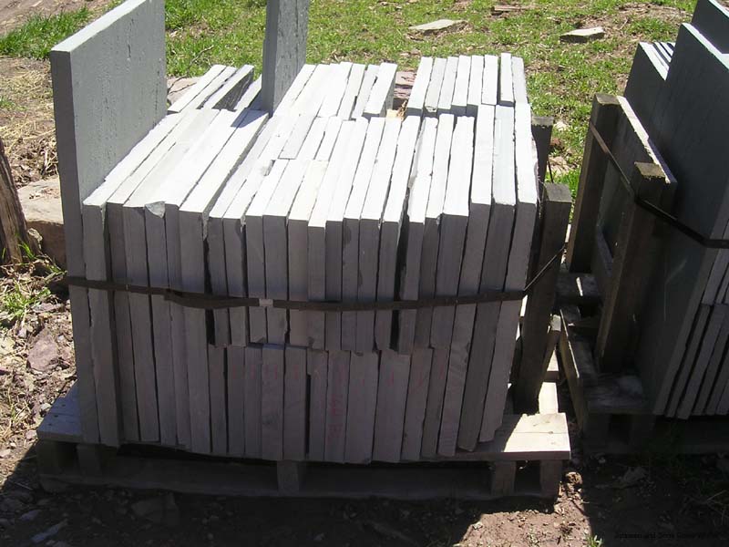 P1010009.JPG